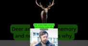 1780626391 maxresdefault.jpg