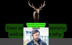 1780626391 maxresdefault.jpg