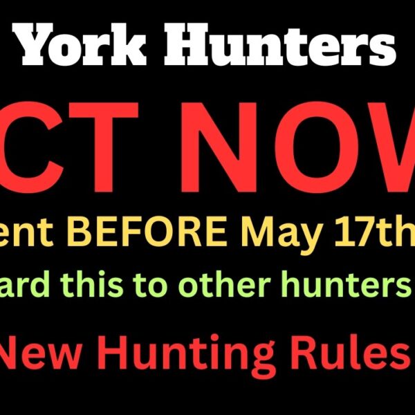 1781357399 maxresdefault.jpg