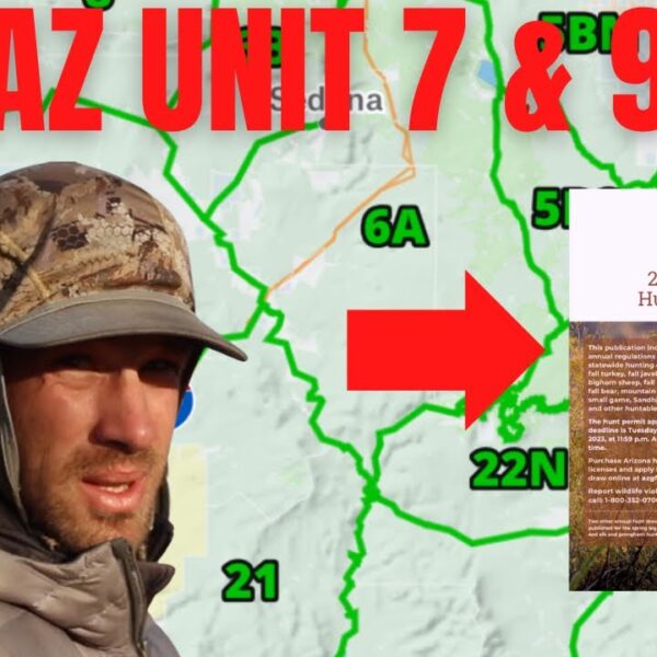 1781383041 maxresdefault.jpg