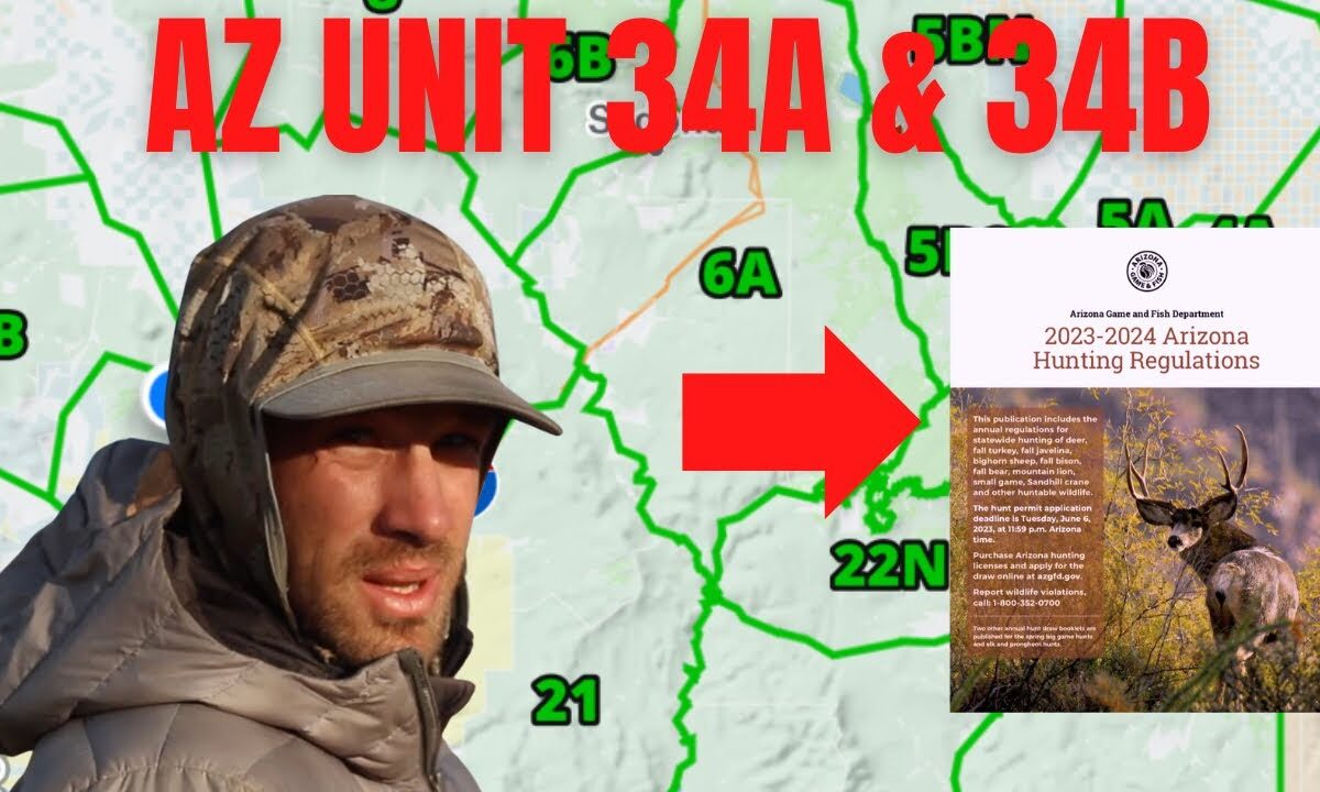 1781394228 maxresdefault.jpg