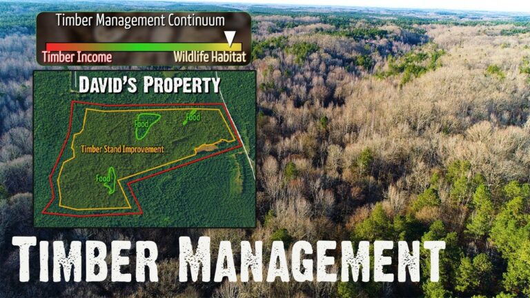 1781405227 maxresdefault.jpg