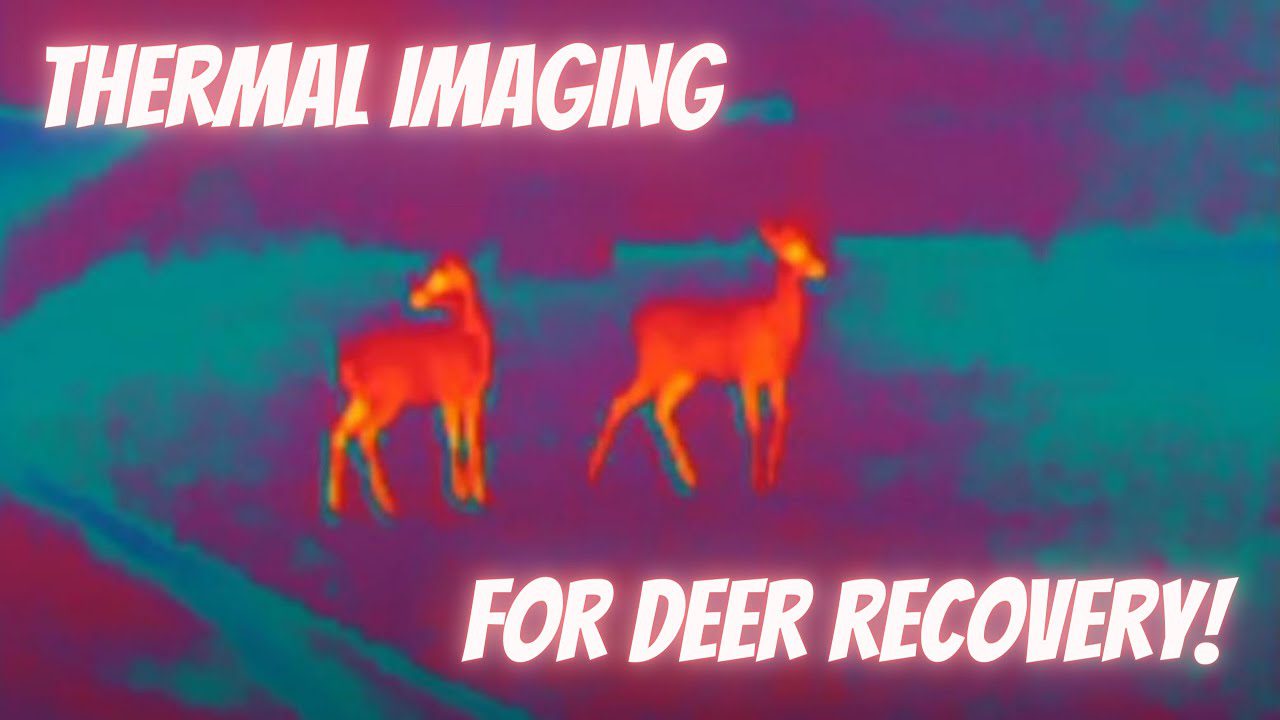 1781452860 maxresdefault.jpg