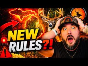 1781799295 hqdefault.jpg